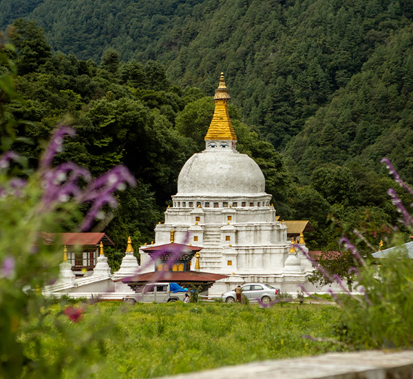 Live the Bhutanese Way: Authentic Farmhouse Homestays Awaits You