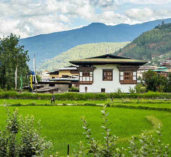 Venture into Bhutanâ€™s Untamed Soi Yaktsa Trek