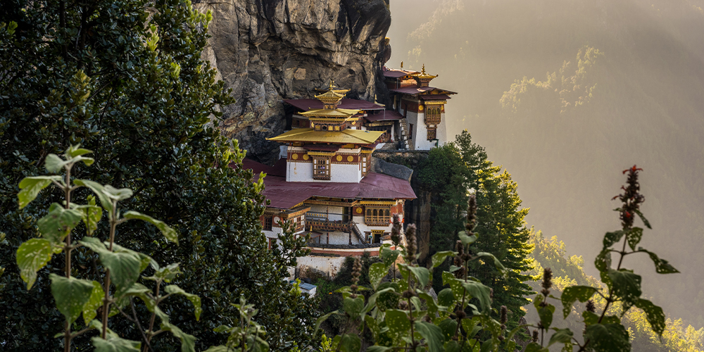 Drukpath Trek: Hike Bhutanâ€™s Himalayan Peaks