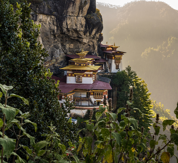 Drukpath Trek: Hike Bhutanâ€™s Himalayan Peaks