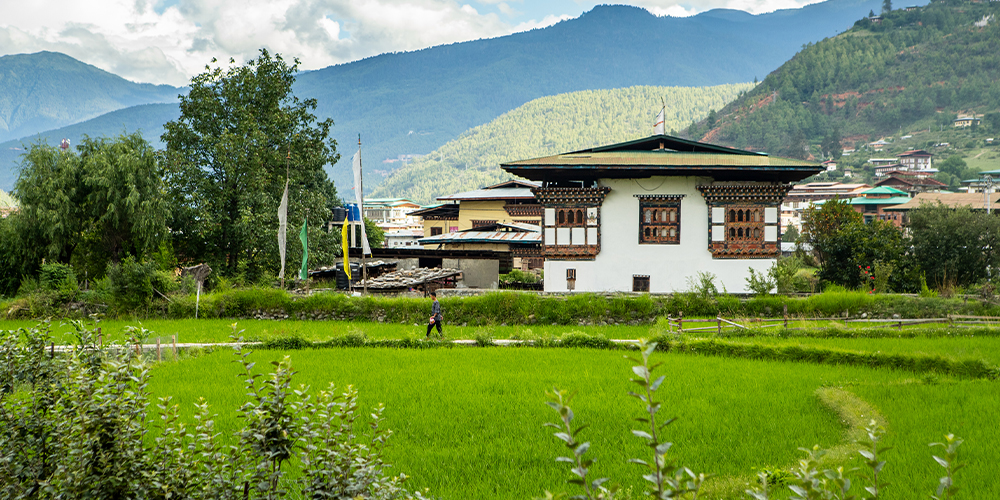 Venture into Bhutanâ€™s Untamed Soi Yaktsa Trek