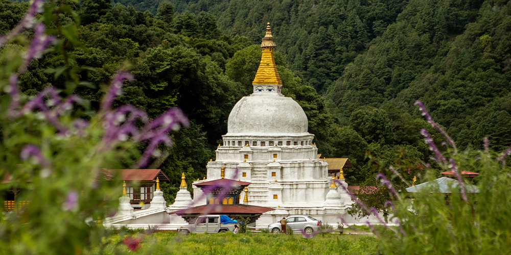 Live the Bhutanese Way: Authentic Farmhouse Homestays Awaits You