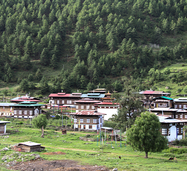 Explore Bhutan's Rich Cultural Heritage in a Weeklong Journey